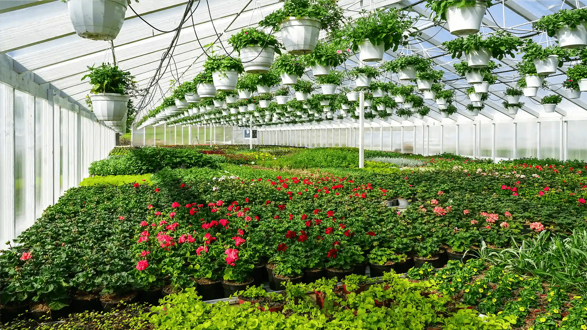 nurseries-horticulture-industry-logistics