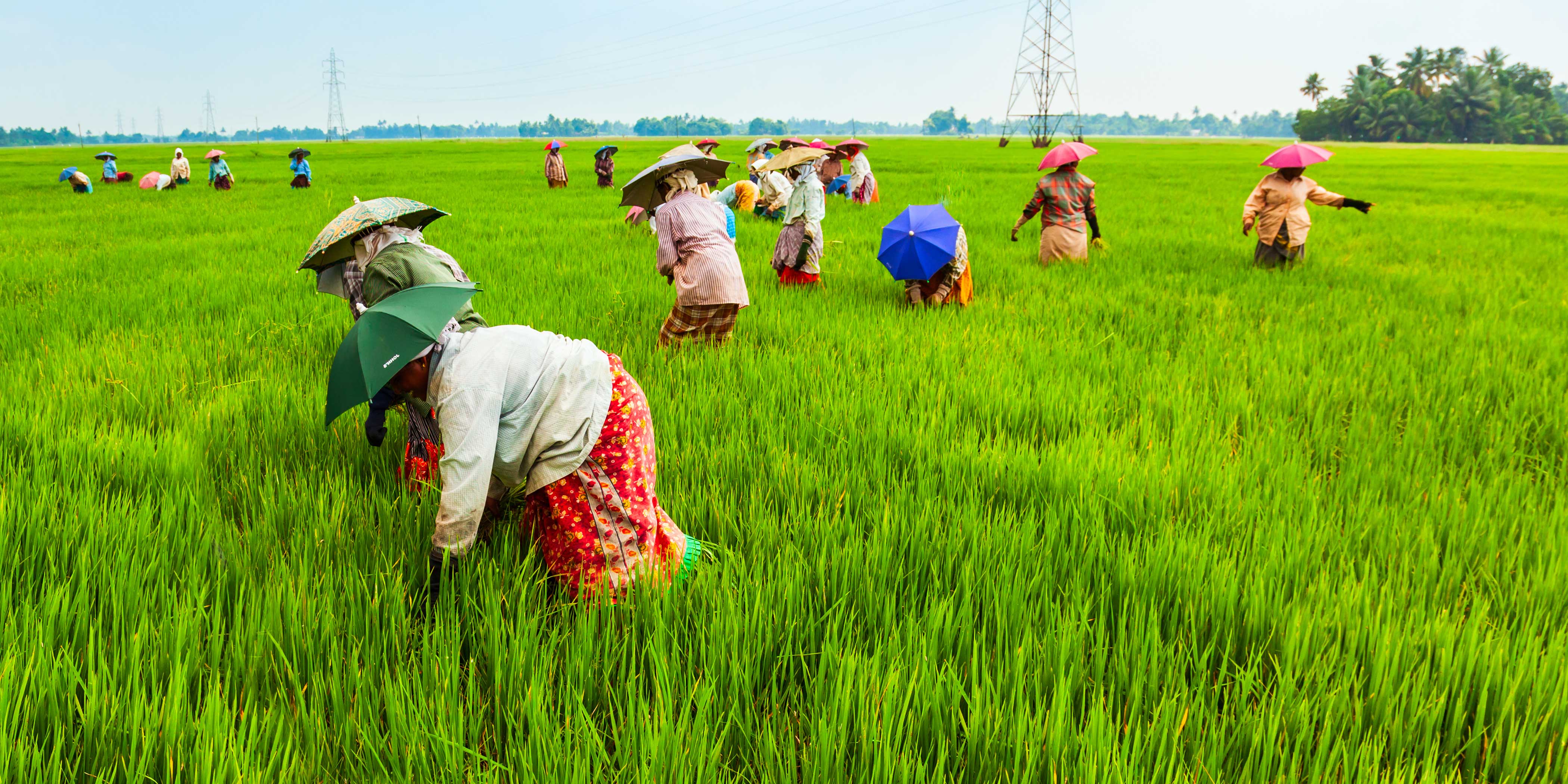 Workers in China